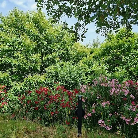 بيت ضيافة Da Bijoux أركولا