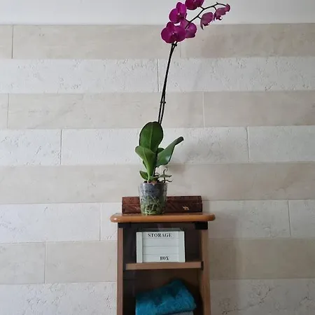 Гостевой дом Da Bijoux Аркола