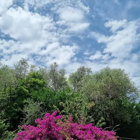 Da Bijoux * Аркола