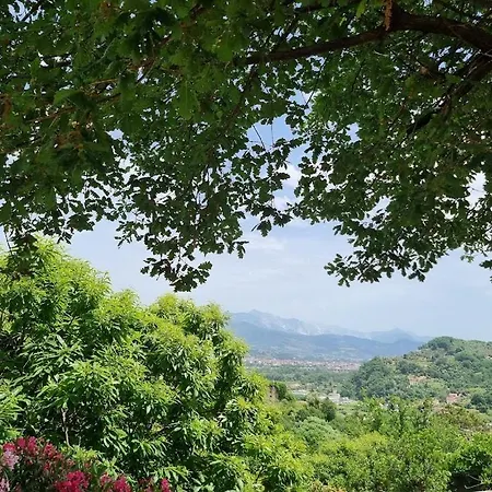 Da Bijoux Аркола