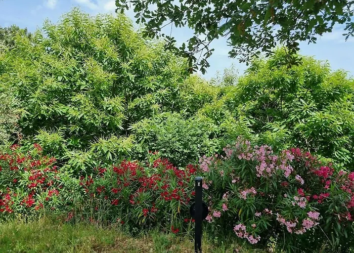 بيت ضيافة Da Bijoux أركولا