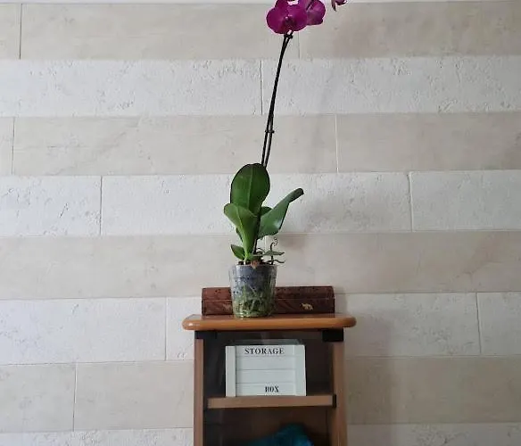 بيت ضيافة Da Bijoux أركولا