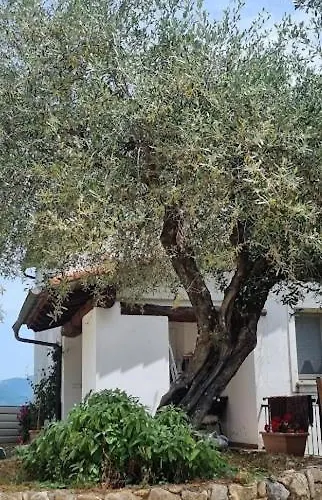 بيت ضيافة Da Bijoux 3*