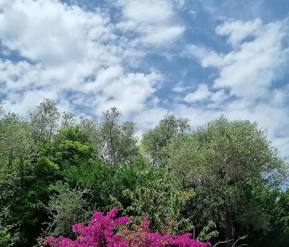 Da Bijoux 3* أركولا